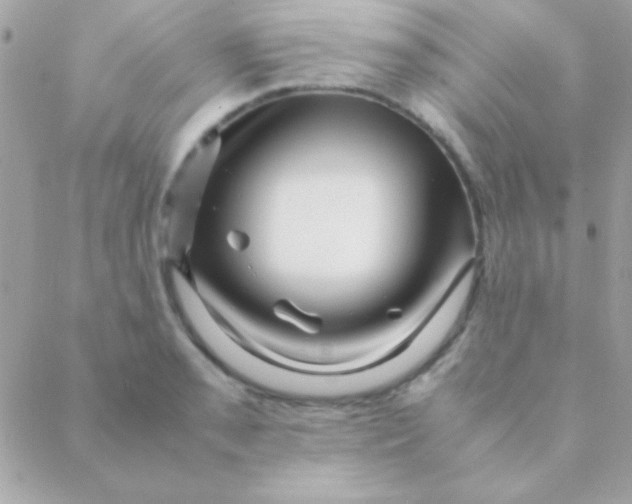 X0000088661085200706152026