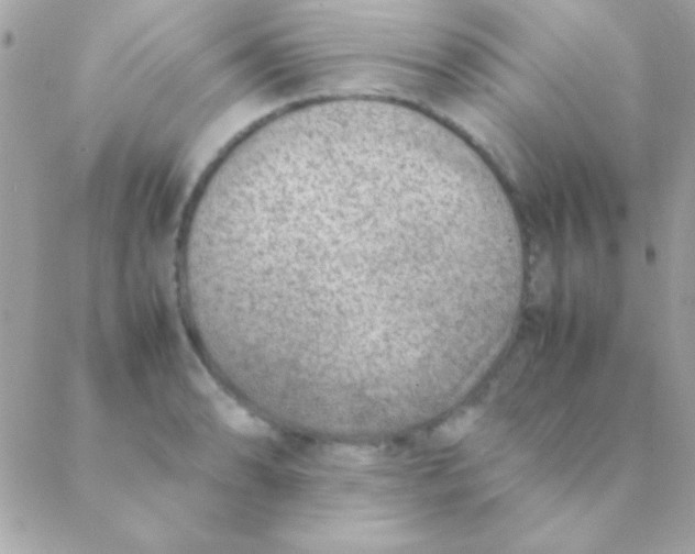 X0000088661086200706152026