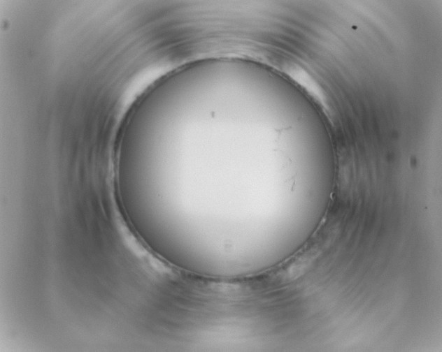 X0000088661088200706152026