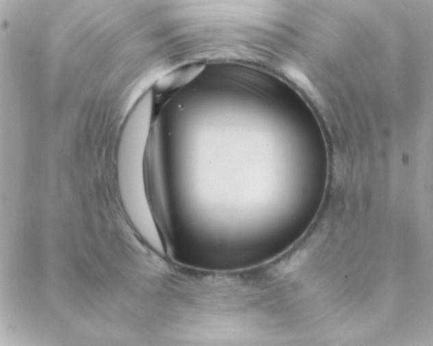 X0000088661089200706152026