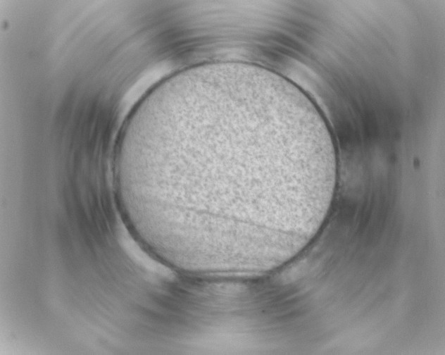 X0000088661090200706152026