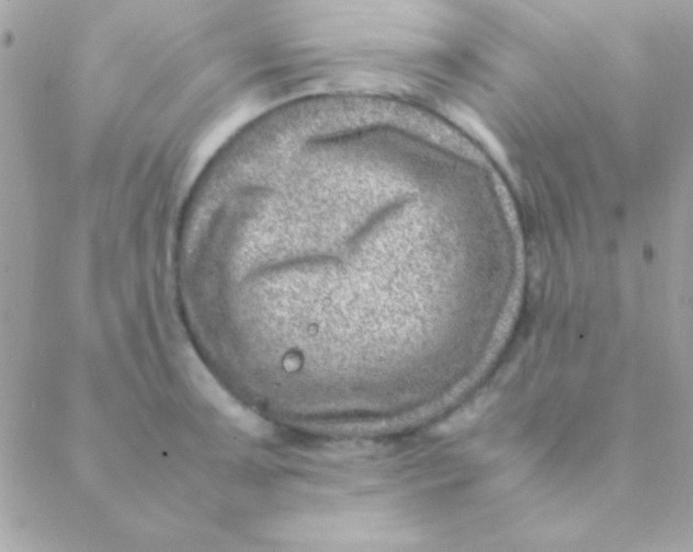 X0000088661091200706152026