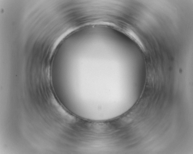 X0000088661092200706152026