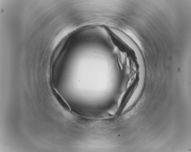 X0000088661093200706152026