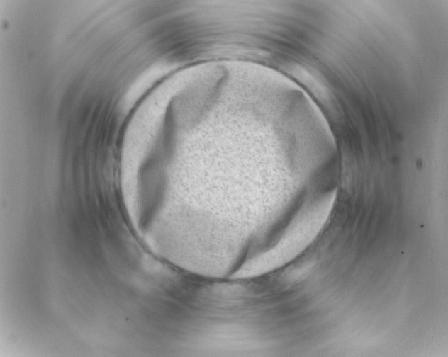 X0000088661094200706152026