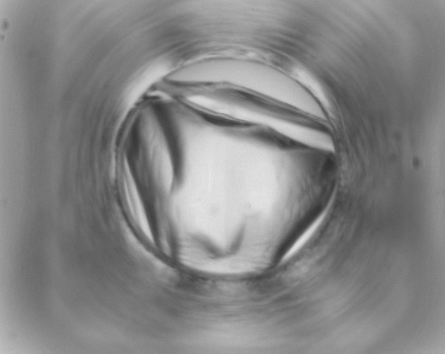 X0000088661095200706152026