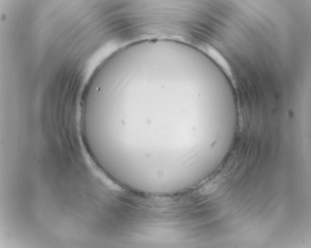 X0000088661096200706152026