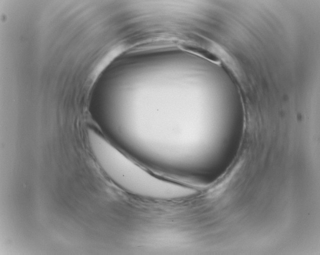 X0000088661097200706152026