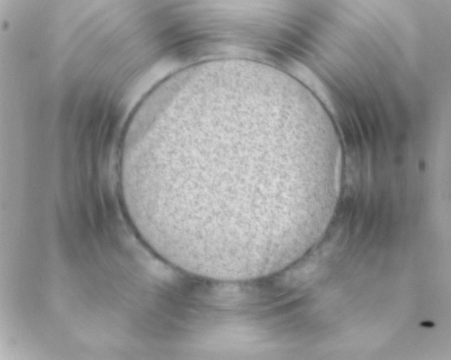 X0000088661098200706152026