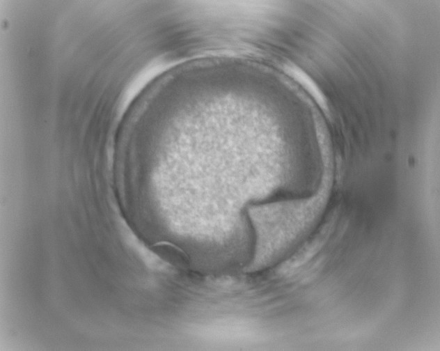 X0000088661099200706152026