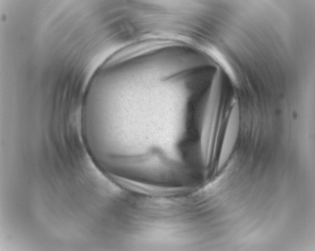 X0000088661100200706152026