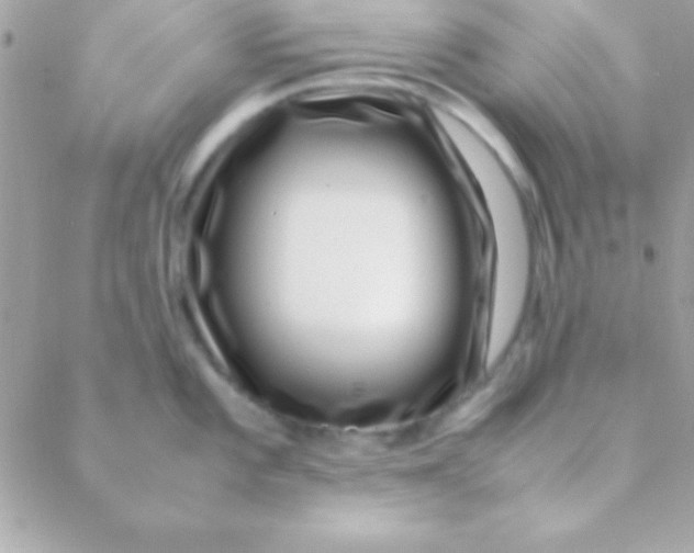 X0000088661101200706152026