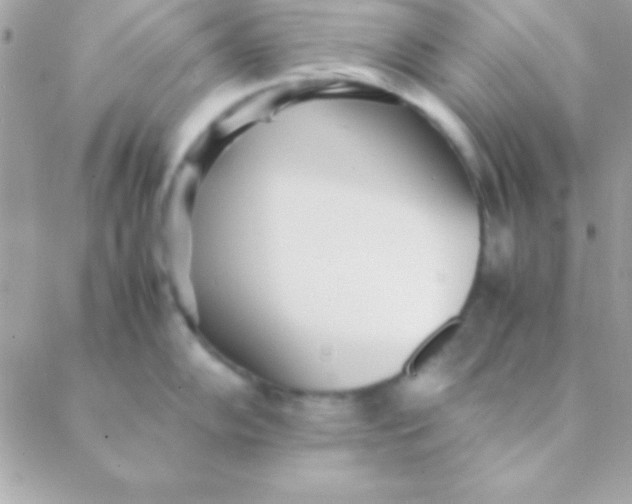 X0000088661102200706152026