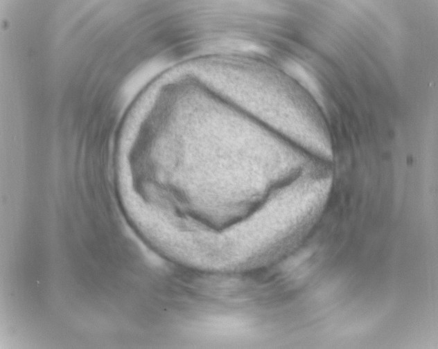 X0000088661103200706152026