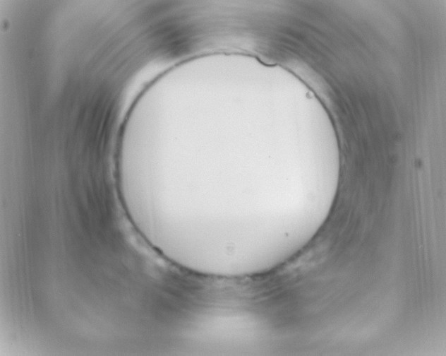 X0000088661104200706152026