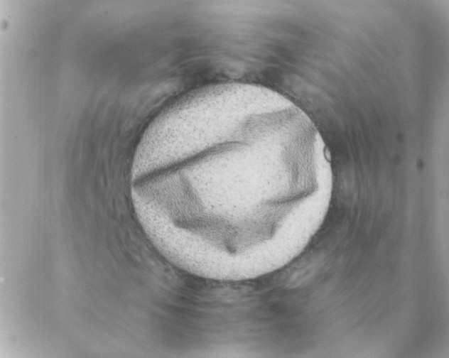 X0000088661105200706152025