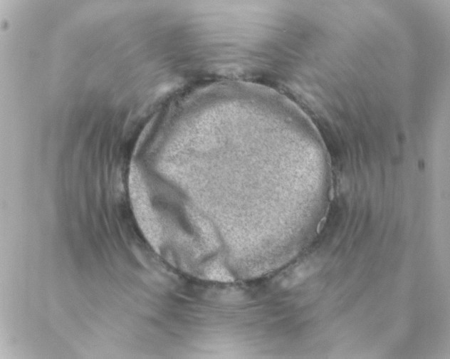 X0000088661106200706152025