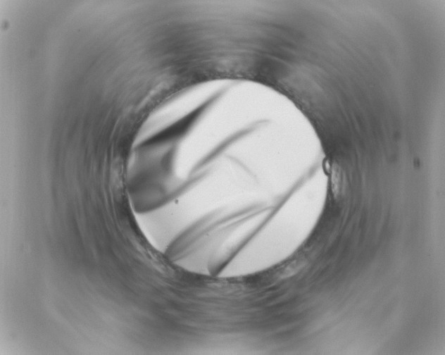 X0000088661107200706152025