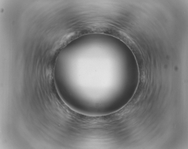 X0000088661108200706152025