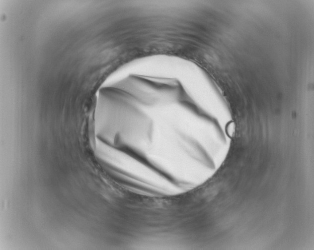 X0000088661109200706152025