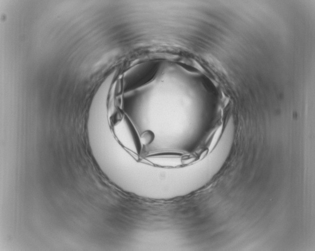 X0000088661110200706152025