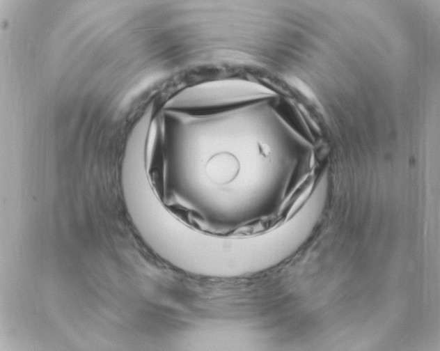 X0000088661112200706152025