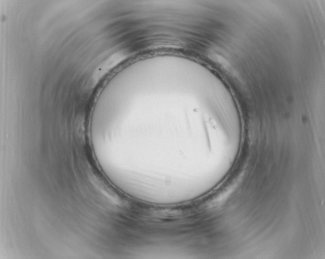 X0000088661113200706152025