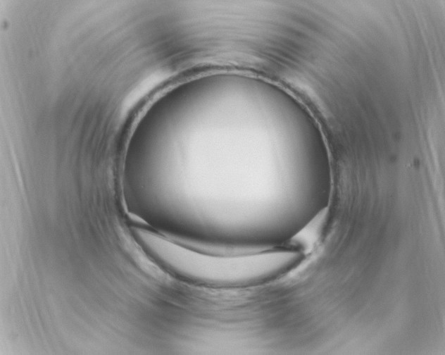 X0000088661114200706152025