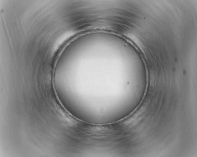 X0000088661115200706152025