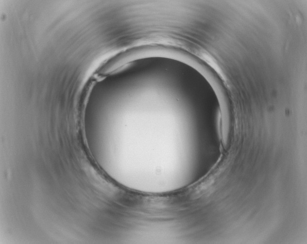 X0000088661116200706152025