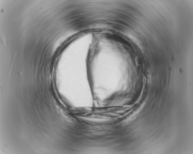 X0000088661117200706152025