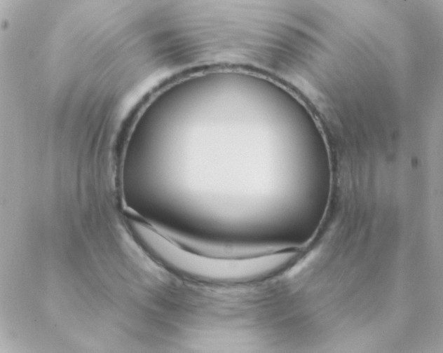 X0000088661118200706152025