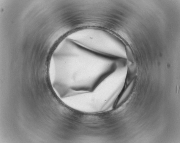 X0000088661119200706152026