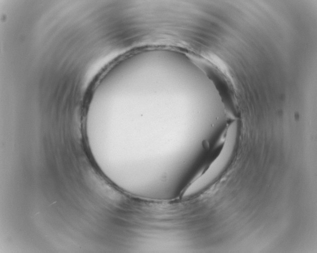 X0000088661120200706152026