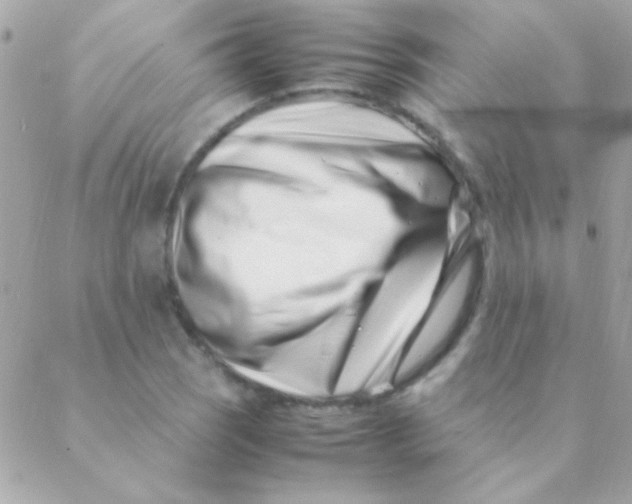 X0000088661121200706152026