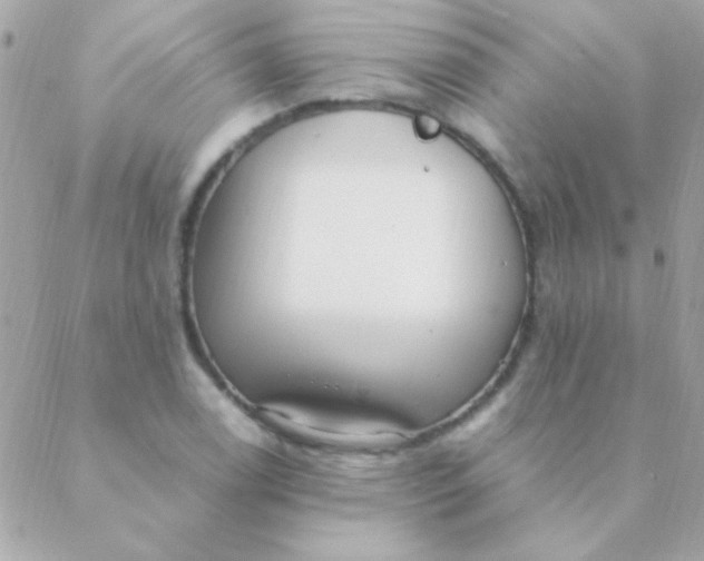 X0000088661122200706152026