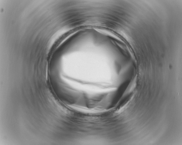 X0000088661123200706152026