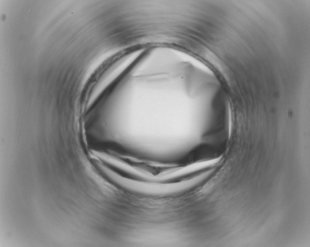 X0000088661124200706152026