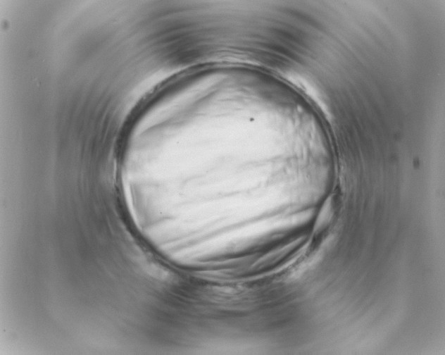 X0000088661125200706152026