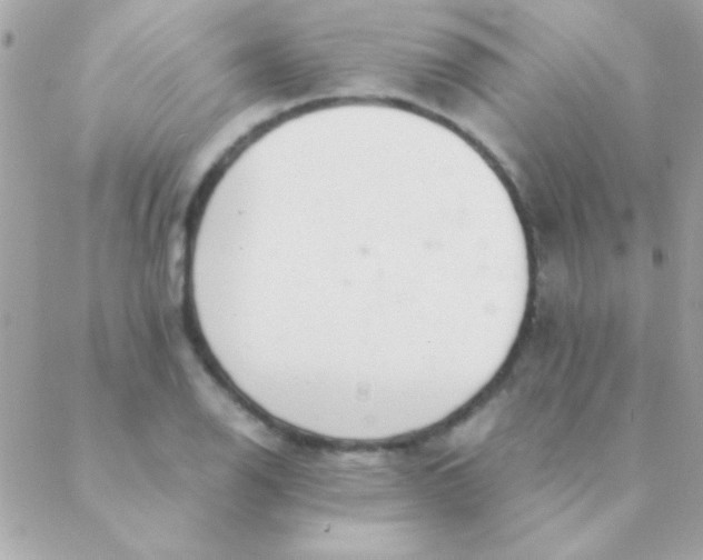 X0000088661126200706152026