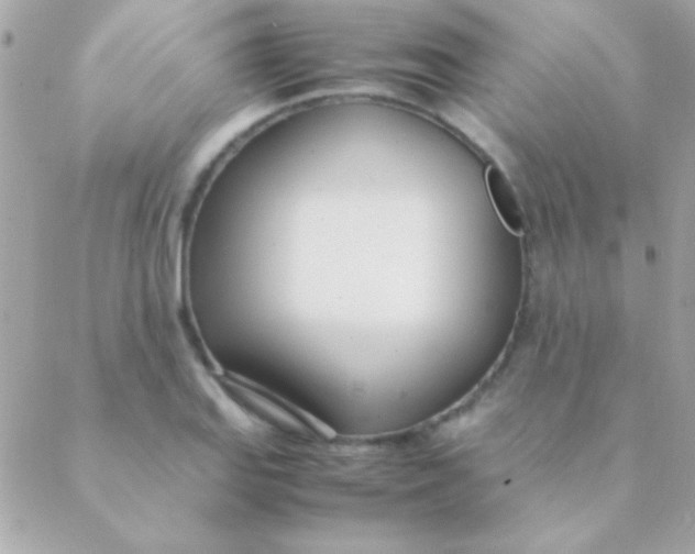 X0000088661127200706152026