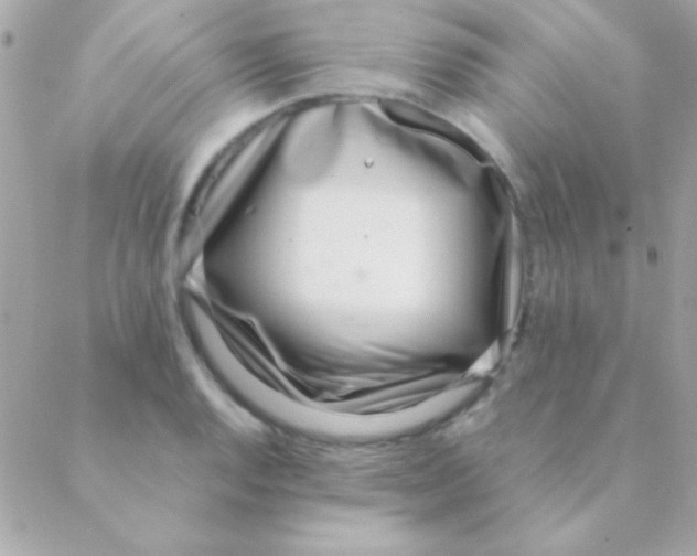 X0000088661128200706152026