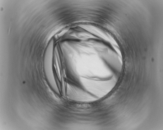 X0000088661129200706152026