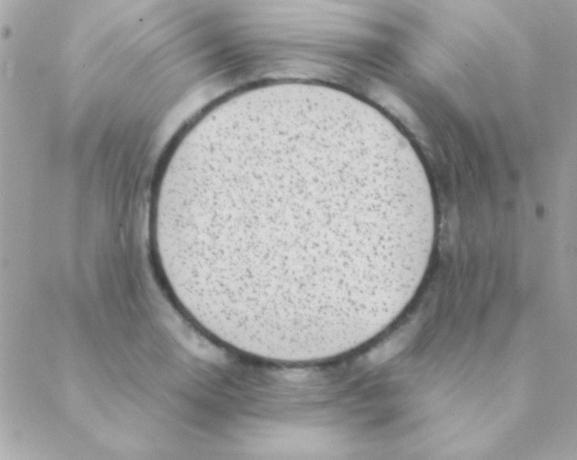 X0000088661130200706152026