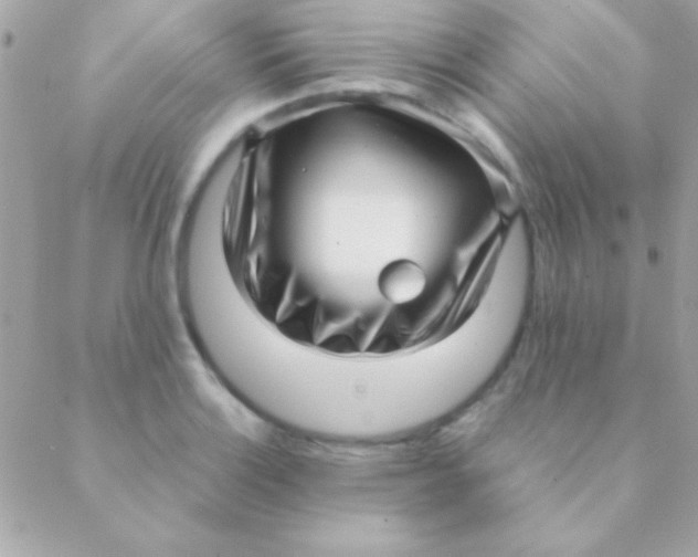 X0000088661132200706152026