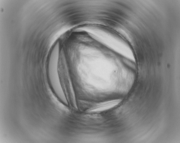 X0000088661133200706152026