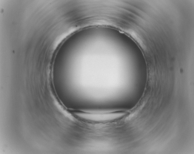 X0000088661134200706152026