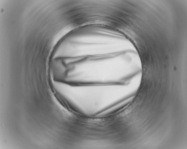 X0000088661135200706152026