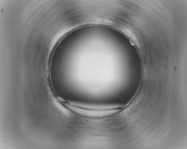 X0000088661136200706152026