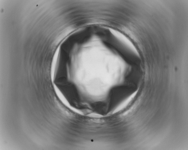 X0000088661137200706152026